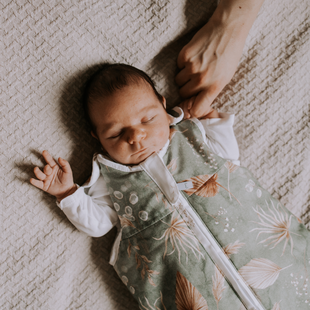 Facebook Ads NEW - 2025-08-25T145300.713